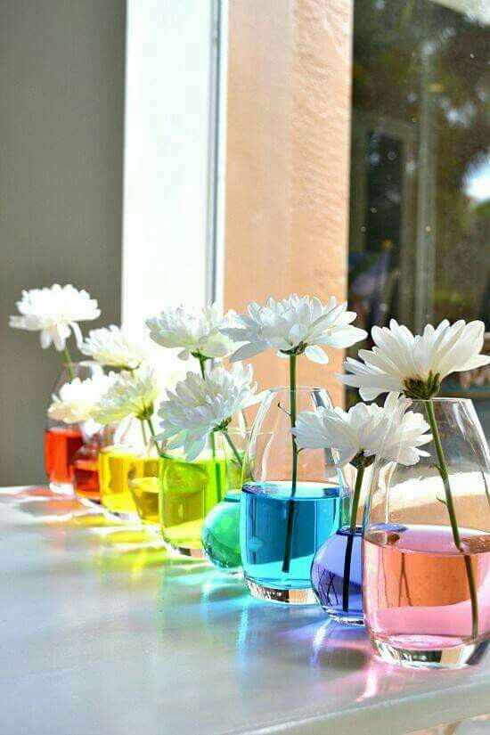 Boda de colores - 17