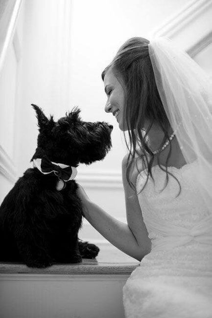 Tu mejor amigo en tu día... amantes de los perros!! - 5