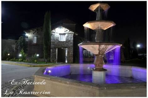 Novi@s de jalisco: hora de presumir templos y salones/jardines - 2