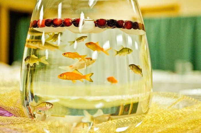 Centros de mesa y recuerdos vivos - 4