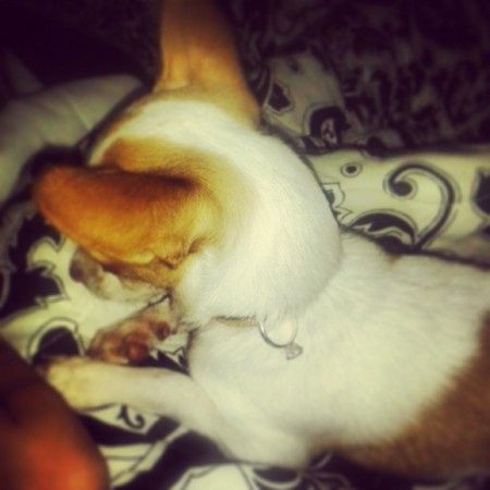 Comparte tu anillo de compromiso  - 1