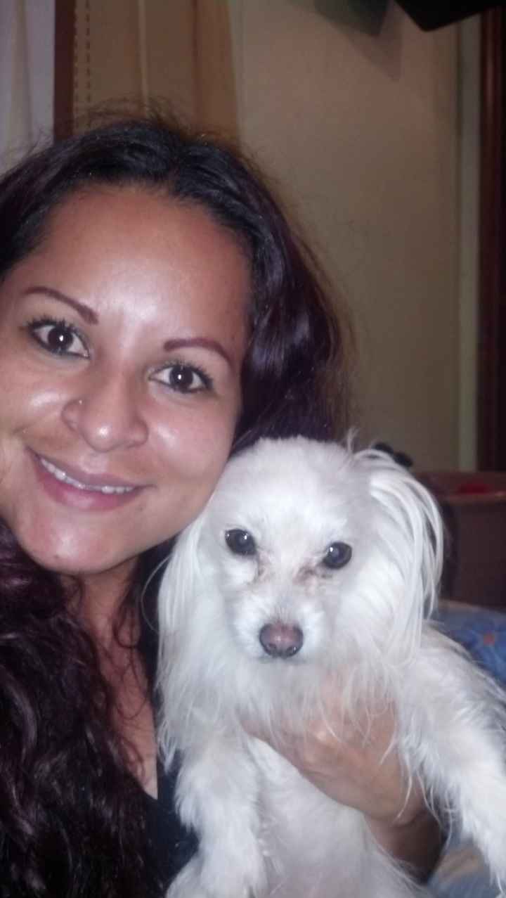 La foto de tu mascota! - 1