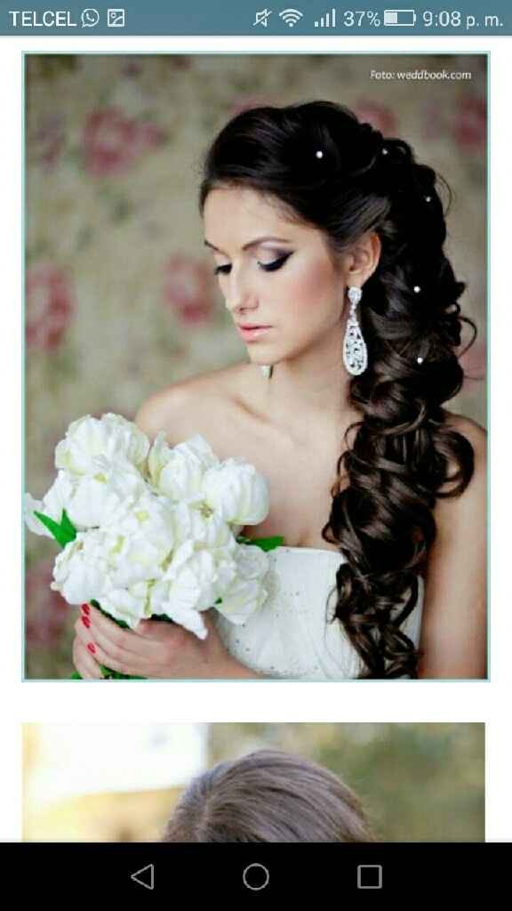 Peinados  semirecogido (s.o.s) - 1