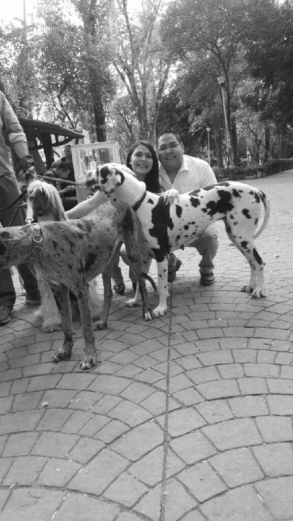 Save the date hecho por nosotros!!! - 8