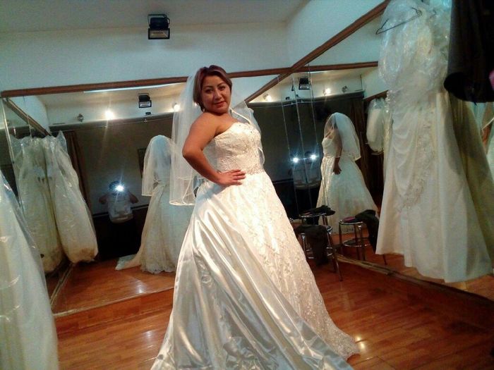  El vestido ideal - 1