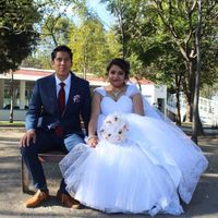 Me siento curiosa con sus vestidos - 1