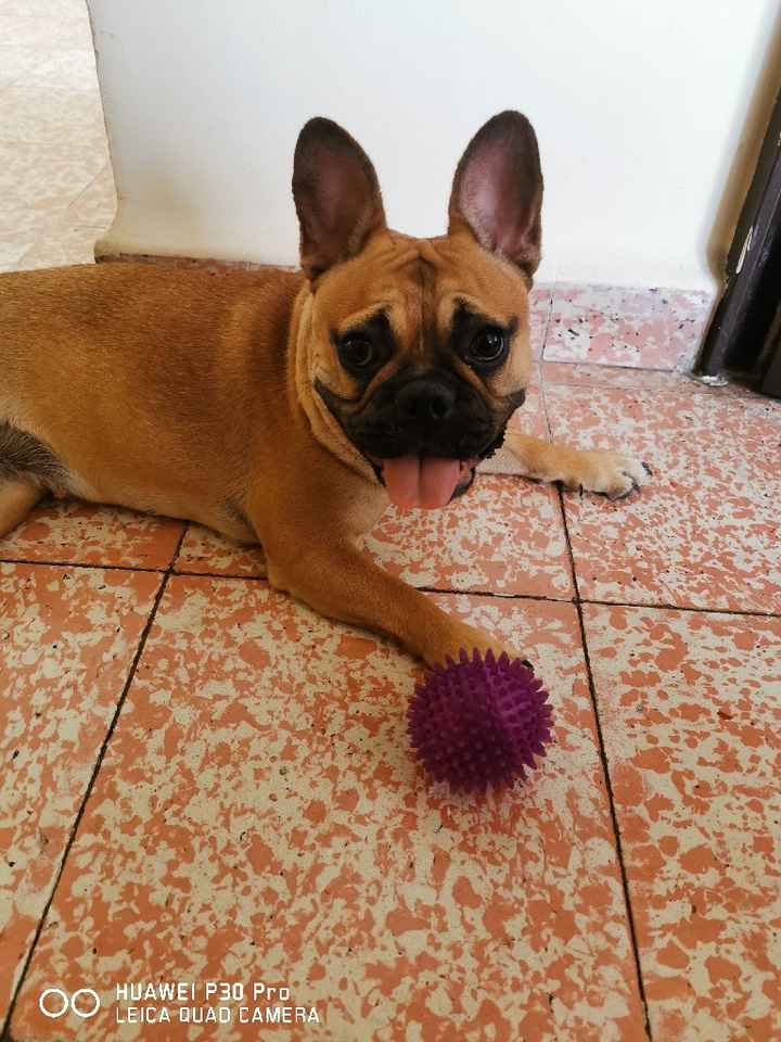 Reagende mi boda del 2 de mayo ☣️☣️ y ustedes?? - 1