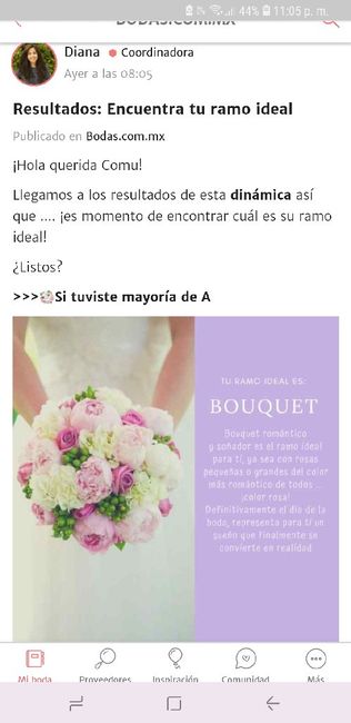 Mi ramo ideal 🌻 1