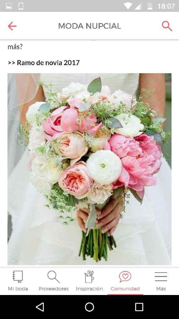 Novia 2017 con un toque de 2018 - 6