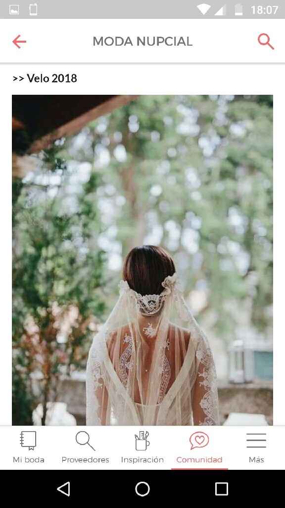 Novia 2017 con un toque de 2018 - 8