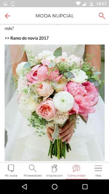 Novia 2017 con un toque de 2018 - 6