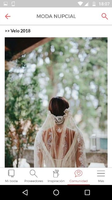 Novia 2017 con un toque de 2018 - 8