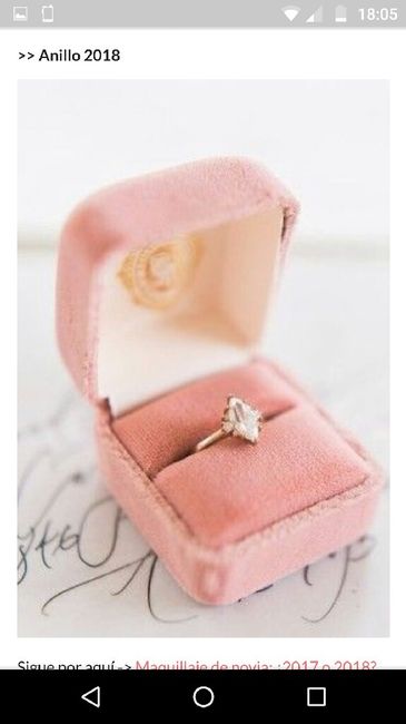 Novia 2017 con un toque de 2018 - 9