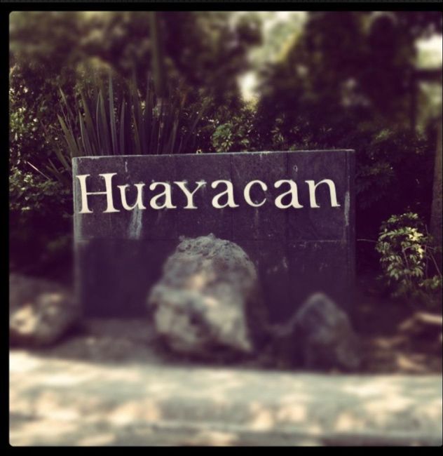 Huayacan