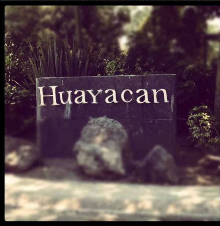 Huayacan