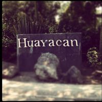 Huayacan