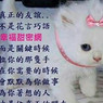 張秈生