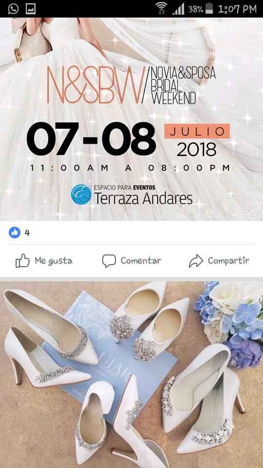 Atencion novias de Jalisco en especial - 2
