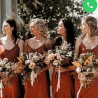 Compañero de honor - 1