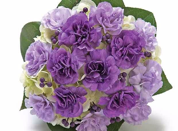 FLORES Y SU SIGNIFICADO