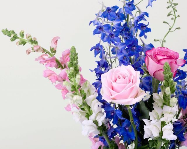 FLORES Y SU SIGNIFICADO