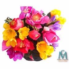 FLORES Y SU SIGNIFICADO