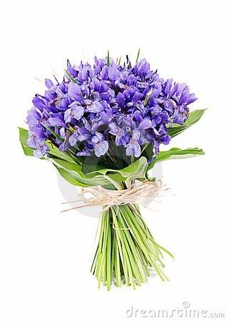 FLORES Y SU SIGNIFICADO