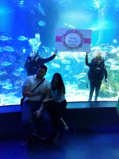 100 % enamorada de Marquito (de cariño cómo lendigo) 7