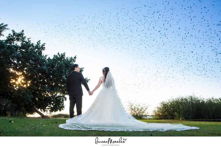 Fotos de mi boda ❤️ - 65