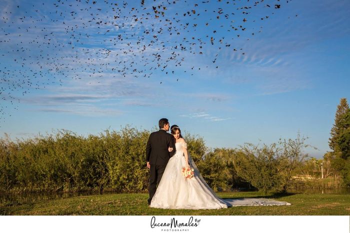 Fotos de mi boda ❤️ - 62