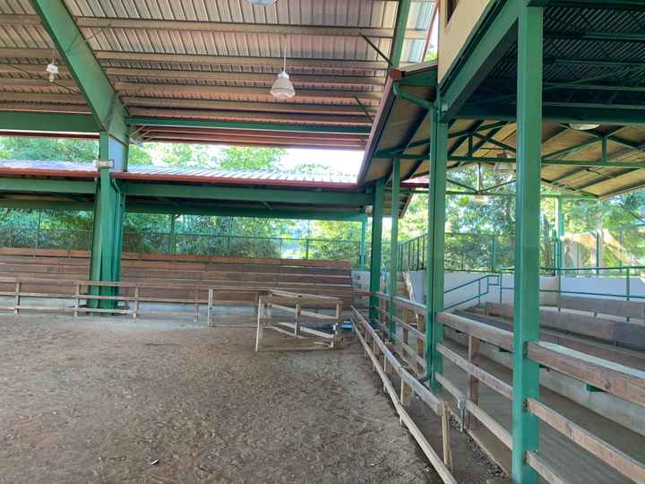 Ya tenemos lugar para recepción en Puerto Rico! 👰🏻🎩 - 2