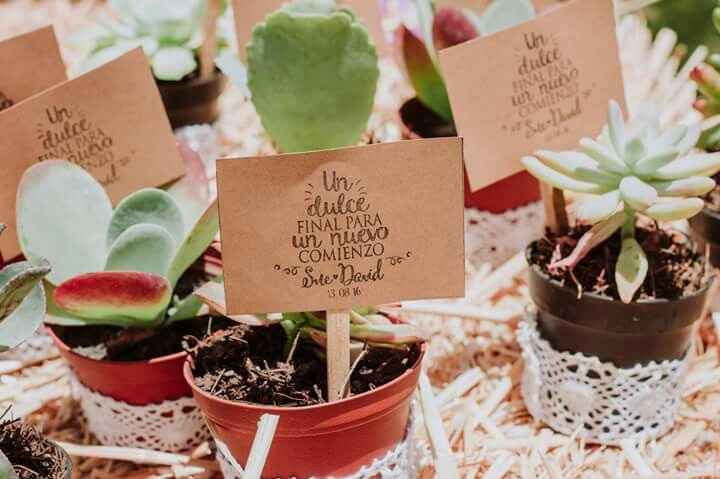Recuerditos despedida: suculentas en tacita de té - 1