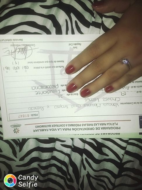 Avances a 59 días ? - 6