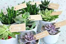 Ayudenme a decidir entre estos dos! - 3