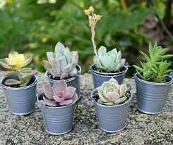 Ayudenme a decidir entre estos dos! - 4