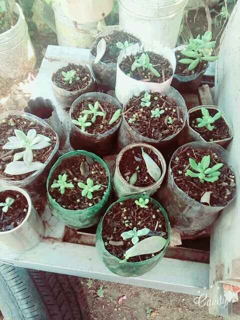 Semana difícil.. - 1