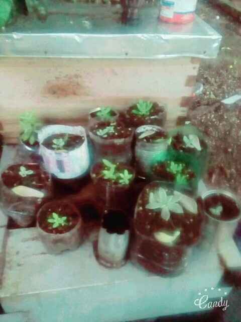 Semana difícil.. - 2