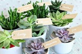 Ayudenme a decidir entre estos dos! - 3