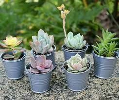 Ayudenme a decidir entre estos dos! - 4