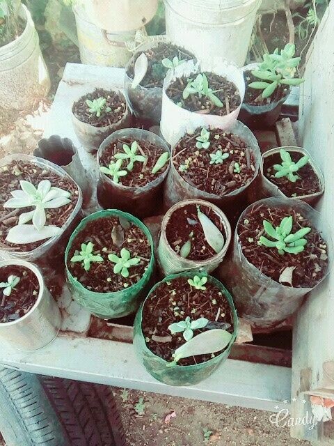 Semana difícil.. - 1