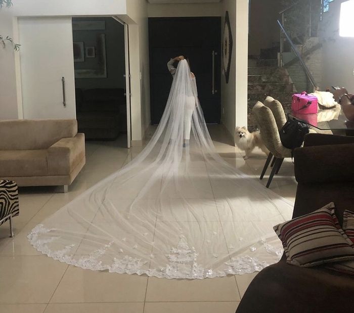 Velos de ensueño - 1