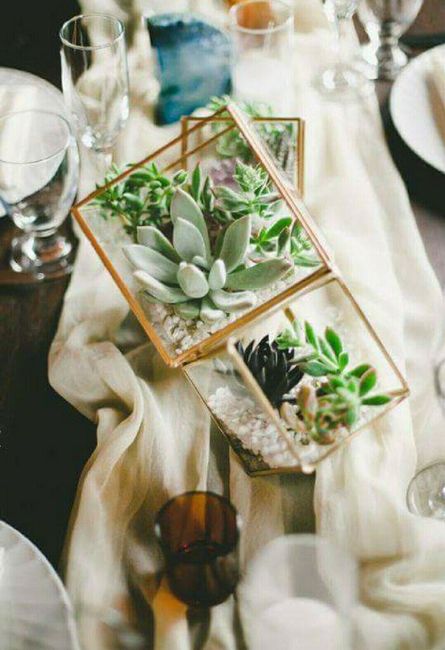 Plantitas en macetas de cristal!!!🌹🌸🌵 - 2