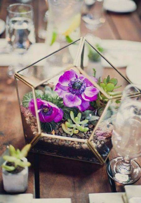 Plantitas en macetas de cristal!!!🌹🌸🌵 - 5