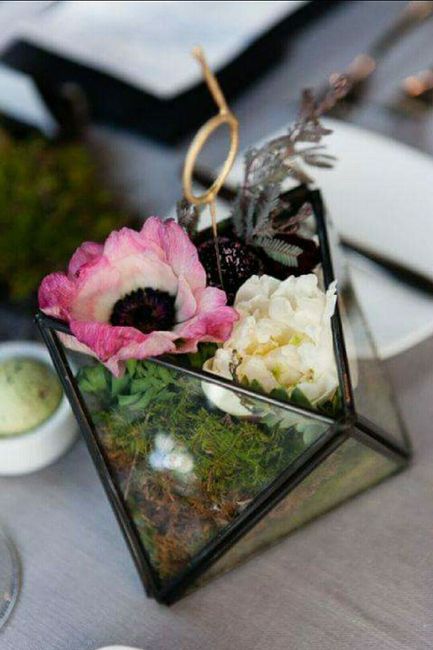 Plantitas en macetas de cristal!!!🌹🌸🌵 - 8