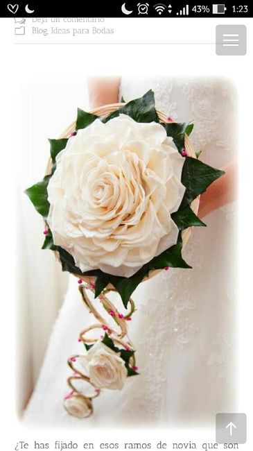 Quien le dice sí a estos ramos?!!! - 2