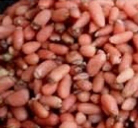 Mi dulce elección Joka!!! 2