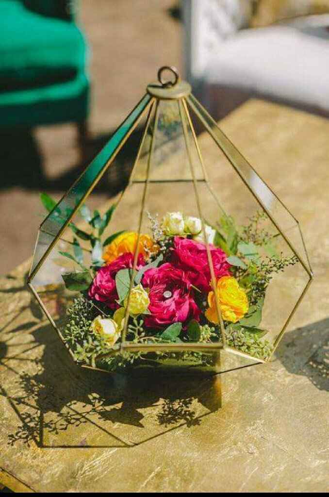 Plantitas en macetas de cristal!!!🌹🌸🌵 - 1