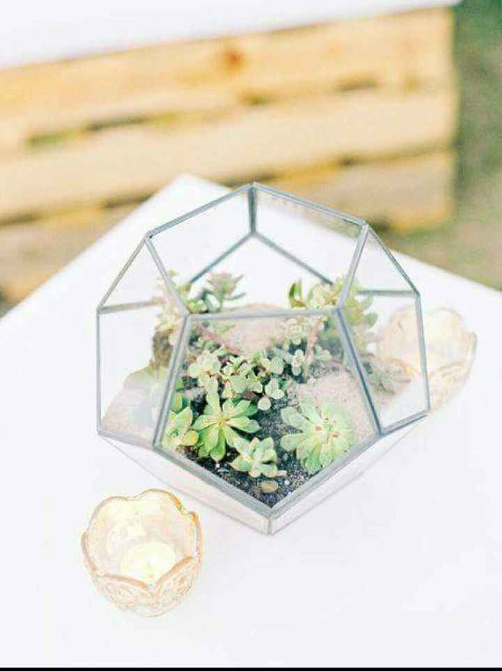 Plantitas en macetas de cristal!!!🌹🌸🌵 - 3