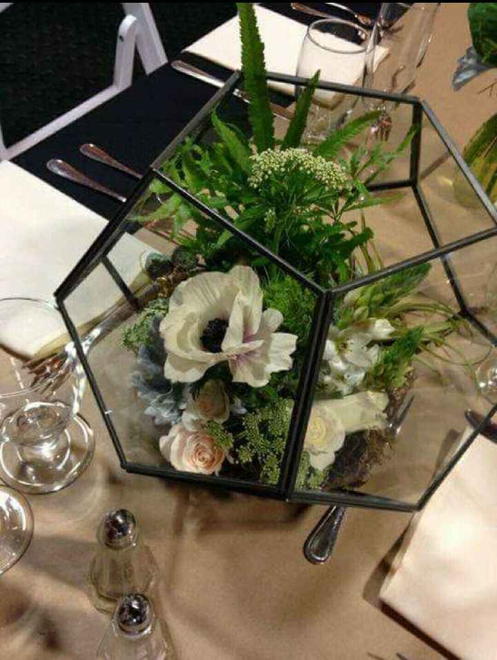 Plantitas en macetas de cristal!!!🌹🌸🌵 - 4