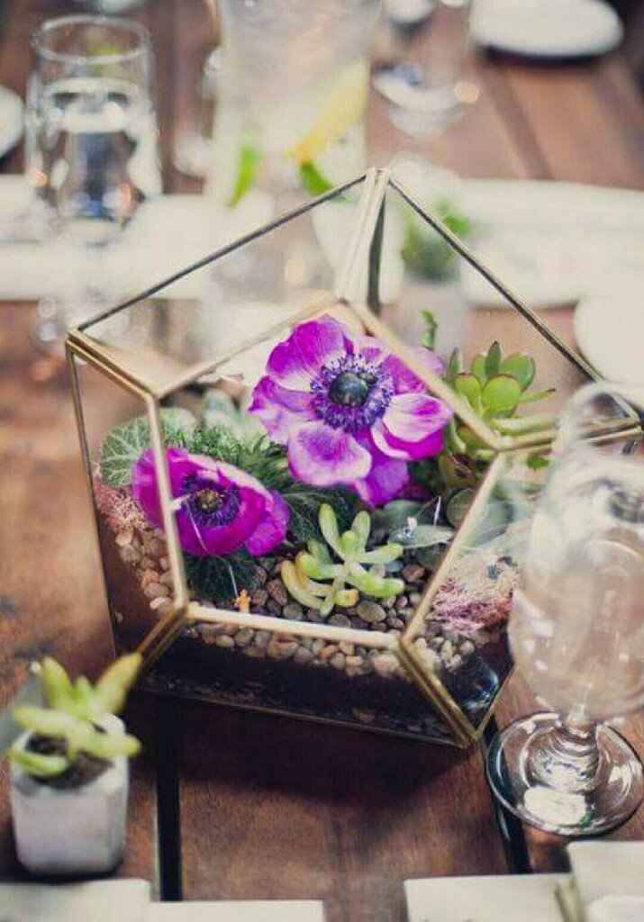 Plantitas en macetas de cristal!!!🌹🌸🌵 - 5